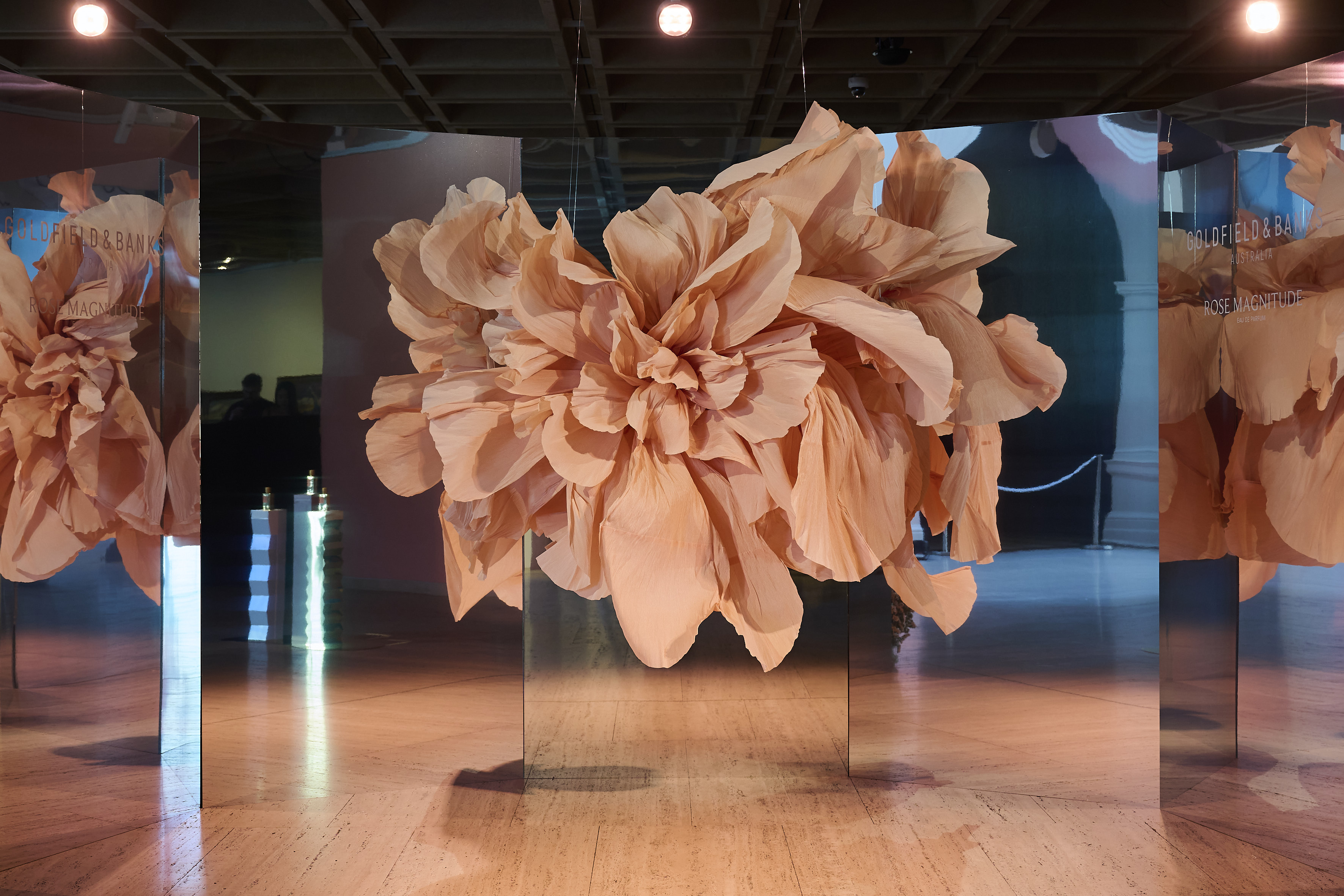 Goldfield Rose installation by ISTORIA